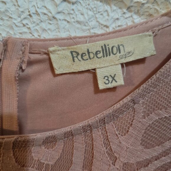 Elegant Rebellion size 3X Pink Lace Dress With Floral Accents & Zipper Closure - Picture 2 of 5